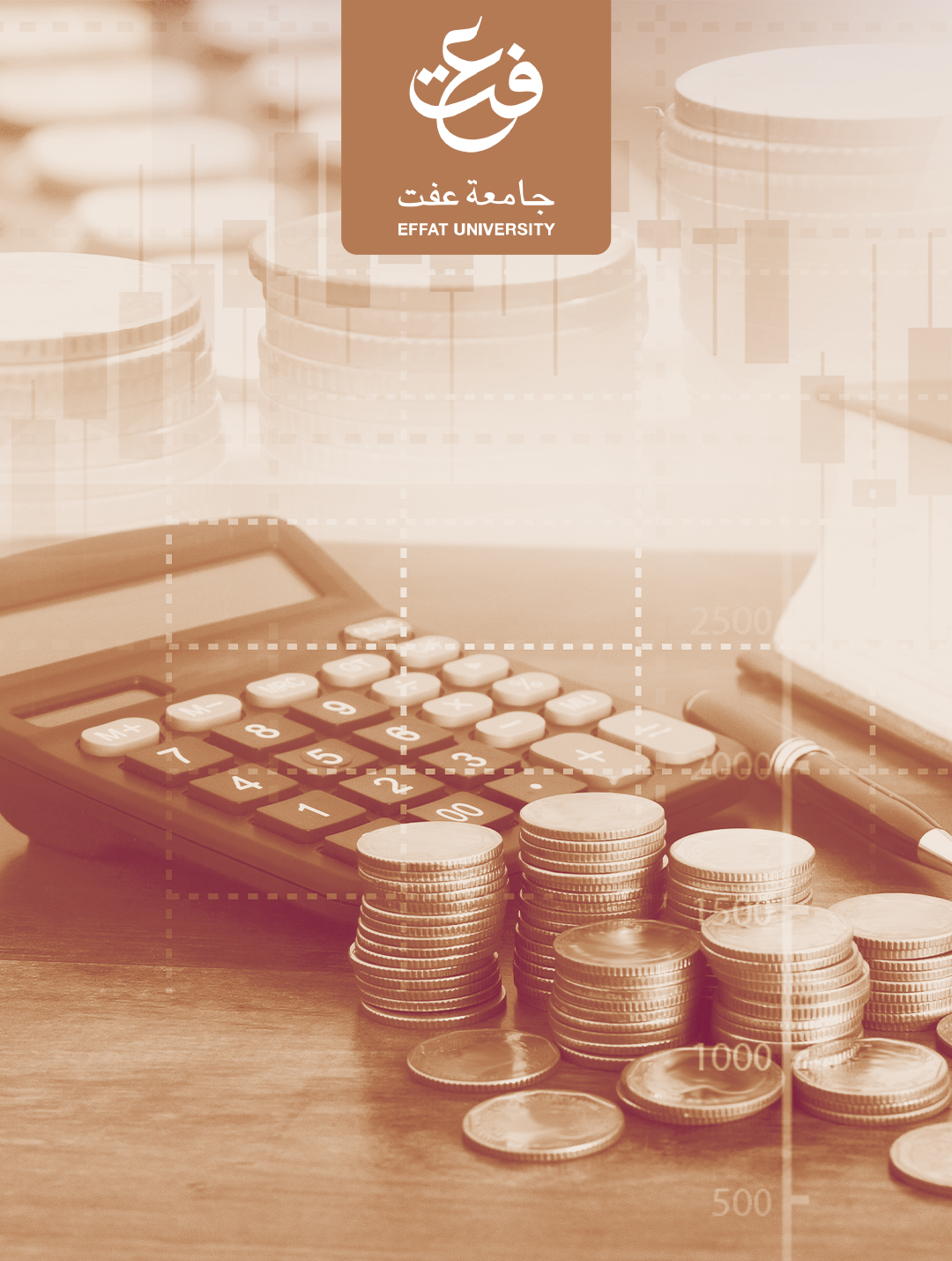 دبلوم الإدارة المالية